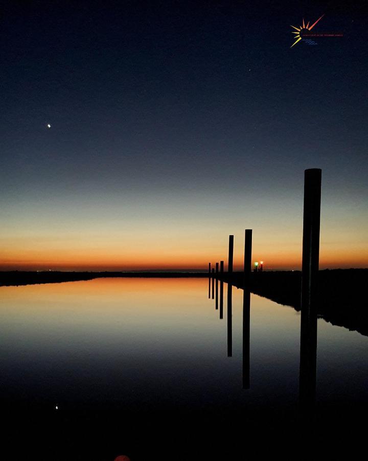 Studio 137 Port Camargue, Piscine, Climatisation, 4 Personnes Le Grau-du-Roi Eksteriør billede